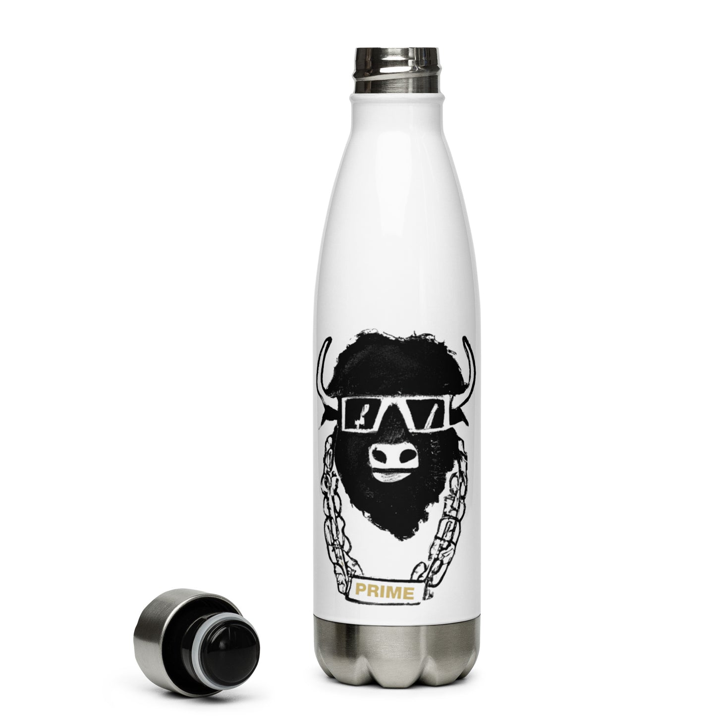 Stainless Steel Water Bottle